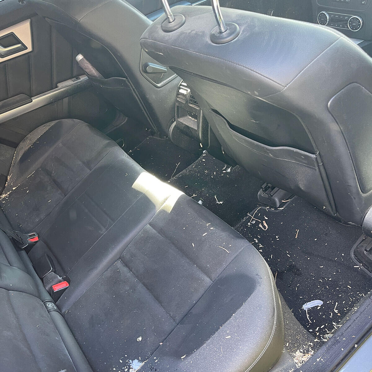 Professioneel-vies-interieur-reiniging-auto-hoofddorp-the-lab-nederland